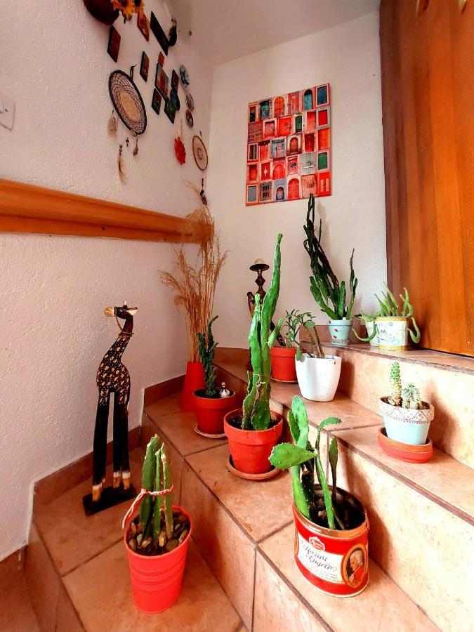 Incredible Apartment With A Mountain View - Matka 스코페 외부 사진