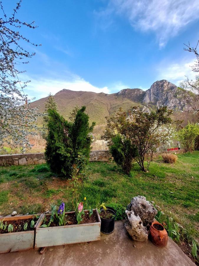 Incredible Apartment With A Mountain View - Matka 스코페 외부 사진